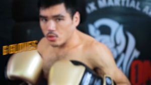 Sarung Tangan Tinju Hook Boxing Gloves Muay Thai Glove Tinju