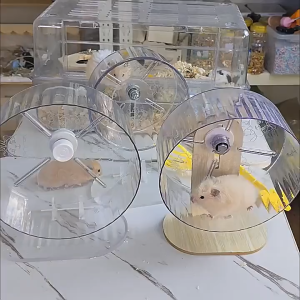 MeowMart 24cm Hamster Wheel Large Transparent with Stand Silent Exercise Toy for Syrian & Dwarf Hamster