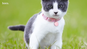 HOCO DI75  อุปกรณ์ป้องกันการสูญหาย กันน้ำ IPX68