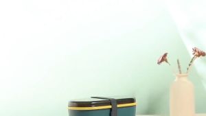 DRHL0386 Lunch Box Kotak bekal makan siang Bento Set 700ML Free Sendok Tempat Makan