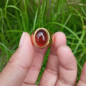 CINCIN Akik Getah Fosil KATILAYU ASLI