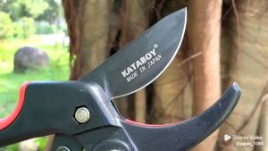 Kéo làm vườn kéo cắt tỉa cành bộ dụng cụ làm vườn thực vật Máy cắt tỉa Thiết kế bỏ qua SK5 Công cụ bằng thép
