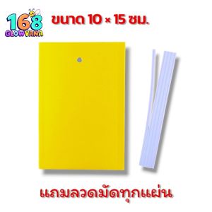 [พร้อมส่ง] กาวดักแมลงวันทอง แผ่นกาว ดักแมลง ไร้สารพิษ! กับดักแมลง กาวเหนียว2ด้าน