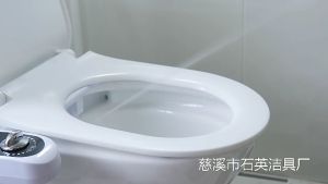 Bathroom Toilet Bidet Seat Attachment Water Spray Single Nozzle Non-Electric Self-cleaning 040