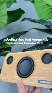 BLAUPUNKT NOAH ลำโพงบลูทูธพกพา 15 วัตต์ มีแบตเตอร์รี่ในตัว คุณภาพเสียงระดับ Hi-Fi (รับประกันศูนย์ไทย 1 ปี)