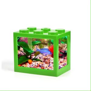 AQUARIUM MINI IKAN CUPANG - IKAN HIAS - KURA KURA - GECKO