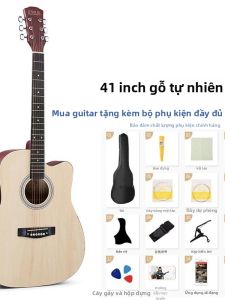 Guitar Acoustic cho Người Mới Bắt Đầu