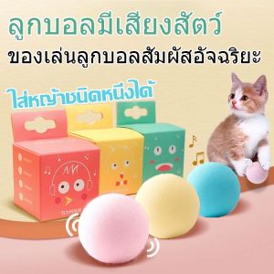 เล่นแมวลูกบอล สัมผัสอัจฉริยะ มีเสียง สําหรับสัตว์เลี้ยง แมวลูกแมวที่มีทนต่อการกัด