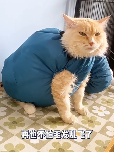 ถุงเป่าลมอุ่น สำหรับสัตว์เลี้ยง หมา แมว ชุดเป่าแห้ง ช่วยประหยัดเวลา ใช้งานง่าย กระจายลมได้ดี