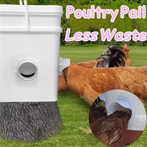 Chicken Feeder Rainproof Food Dispenser Bekas Makanan Ayam Anti Scattering Bird Feeder Accessorie