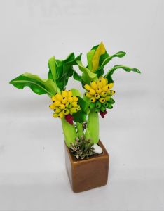 ต้นกล้วย ต้นกล้วยเสริมบารมี ต้นไม้มงคล ขนาดสูง 9 นิ้ว