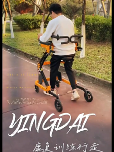 Hydraulic Patient Self Assist Rehab Walker