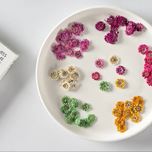 12Pcs Natural Dried Flower DIY Nail Art Props Handmade Scrapbooking Bookmark Decoration