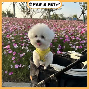 Bello Pet Stroller Detachable Carrier Foldable Outdoor Travel Stroller Pet Trolley Max 17kg Weight For Cat & Dogs
