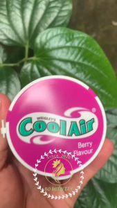 Kẹo Sing-Gum Cool Air Doublemint 40g/146g – Bạc Hà Khuynh Diệp Quả Mọng Trái Cây Mát Lạnh