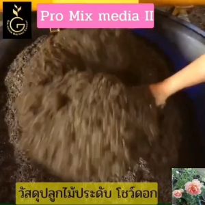 วัสดุปลูกไม้ประดับ ประเภทโชว์ดอก ดินปลูกไม้ดอก ด้วยสูตรผสมเฉพาะสำหรับไม้ดอก
