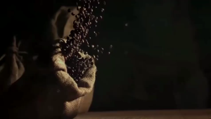 My Coffee มายคอฟฟี่ กาแฟสมุนไพร 19 in1 ปริมาณสุทธิ 15 กรัม 1 ห่อ บรรจุ 10 ซอง PSK2005 kaideeshop888