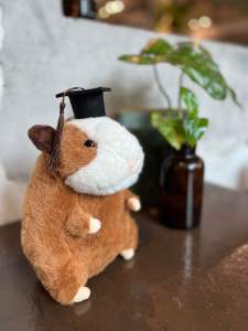 (Tặng thiệp) Gấu bông tốt nghiệp chuột dễ thương quà tặng tốt nghiệp