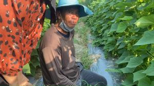 นุชฟอร์ไลฟ์ 8 ขนาด 100 ซีซี  อาหารเสริมพืช/ปุ๋ยน้ำ