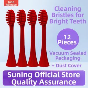 June Initial Electric Toothbrush Replacement Head Pokemon Design Deep Cleaning Adult Hardness Specification Normal Size