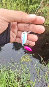 Ready Stock Silent Paws Laser Coating Fishing Lures Great Allure Artificial Bait for Panfish Bluegill Crappie Fishing