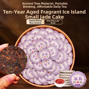 XINYIHAO | Ancient Tree 10 Year Aged Ice Rice Aroma Pu-erh Tea