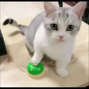 กระดิ่งฝึกสูงสุนัข (TY101) กระดิ่งฝึกแมว อุปกรณ์ฝึกสูงสุนัข ของเล่นแมว ของเล่นหมา Pet Training Bell