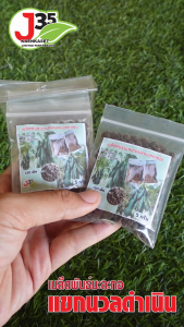 เมล็ดพันธุ์มะละกอแขกนวลดำเนิน 10 กรัม 250-300 เมล็ด เมล็ดพันธุ์มะละกอสำหรับตำส้มตำ เมล็ดมะละกอ