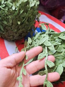 Handmade Green Leaf Vine DIY Material for Flower Ring And Hairband Decoration Simulated Willow Leaf Material Fashion Jewelry Accessories