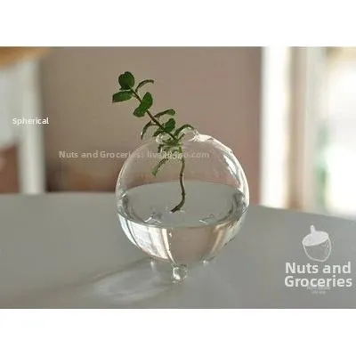 ZHENTAIYUAN | Creative Hydroponic Plant Glass Vase