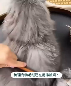 Pet Deshedding Comb with Ergonomic Handles PVC Teeth For Grooming Hair Removal Brush Cats and Dogs.