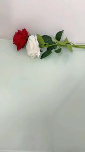 Tăm Bông Gỗ 2 Đầu 100 Que – Set 10 Gói – Đầu Bông Mịn Thân Gỗ Tự Nhiên Vệ Sinh Tai & Trang Điểm