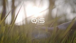 QIS Aroma Diffuser Oil - 104