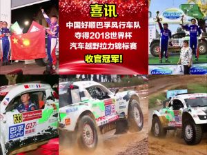 [SG Seller] Bafu Petrol Additive | Remove Engine Carbon Deposit | Save Fuel | Fuel Injector Cleaner | Boost Performance Bubble Cleaner Review Injection Cleaner - Lazada