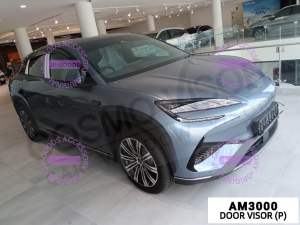 BYD Sealion 7 Door Visor / Window Vent Visor Deflectors (MADE IN MALAYSIA) SEALION7 SEALION