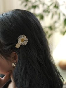 Original Daisy Dry Flower Cat Eye Stone Hair Clip & Duckbill Hair Clip Bangs Clip Side Clip Hair Accessories