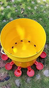 10/20/40pcs Automatic use of plastic bird and chickens water dispenser tools quail and pigeon water dispensers drinking bowls for poultry farms Chickens Water Cups