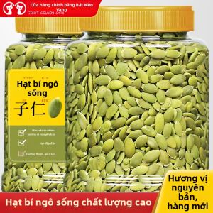 EIGHT GOLDEN CATS | Hạt Dưa Lớn Thô