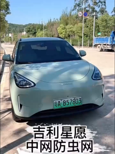 [Panda]GEELY EX2【2026-present】Front Bumper Bug Shield Grille Blocks debris Easy install No drill