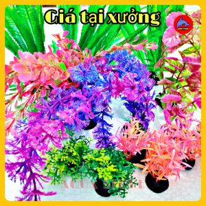 Cây nhựa Trang Trí bể cá hồ cá cảnh Cực đẹp