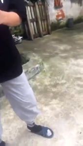 Dog Water Feeder Bottle Portable Pet Drinking Water Bottle