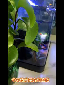 Greenpets Transparent Negative Pressure Aquarium Fish Tank Leak-Proof Acrylic Material for Home Decoration Pet Fish Breeding Easy Maintenance