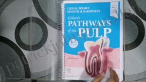 Cohens Pathways of the Pulp 12th Edition: A Comprehensive Dental Education Resource