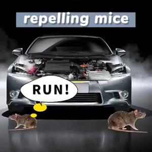 Rat Killer Spray Mouse Repellent Spray 500ml Effective against 30 types of Mice Poison Killer