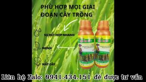 ĐẠO ÔN SỐ 1 CHAI 250ML COMBO 5 CHAI TANG 5 CHAI THAM SAU 100ML PHAN BON SU KẾT HỢP MANH - MẠNH VÀ MÁT CÂY