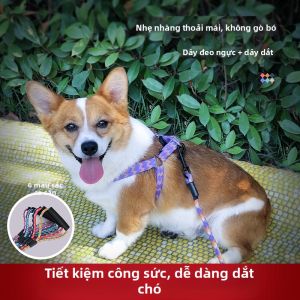 YIXIAO | Dây Dắt Chó Phù Hợp Với Mọi Kích Cỡ Collar và Harness