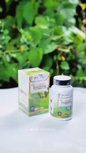 Bio Binahong - Extra Daun Binahong Kapsul Herbal Penyembuh Luka & Regenerasi Sel–BPOM Asli Membantu Pemulihan Pasca Operasi