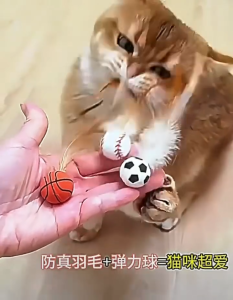Interactive Bouncing Ball safe and stimulating pets playtime Small elastic feather Durable Cat Toy Balls Funny Easy Use physical activity Silicone Indoor Rolling Magic self entertainment