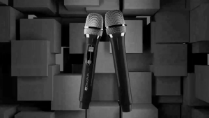 Deuahub M-301/M-302/G038-1/G038-2 Wireless Microphone Karaoke Rechargeable Microphone Speaker Home Ktv