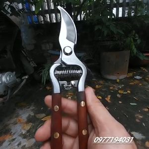 Kéo cắt cành cây NHẬT BẢN cao cấp tay ốp gỗ bằng thép trắng đúc không gỉ